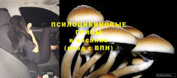 гидра Алексеевка