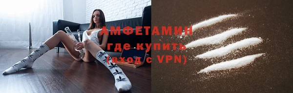 гидра Алексеевка