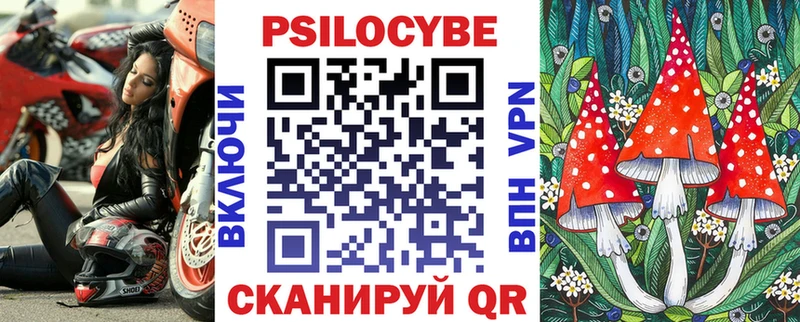 hydra tor  Каменск-Уральский  Псилоцибиновые грибы Psilocybe 