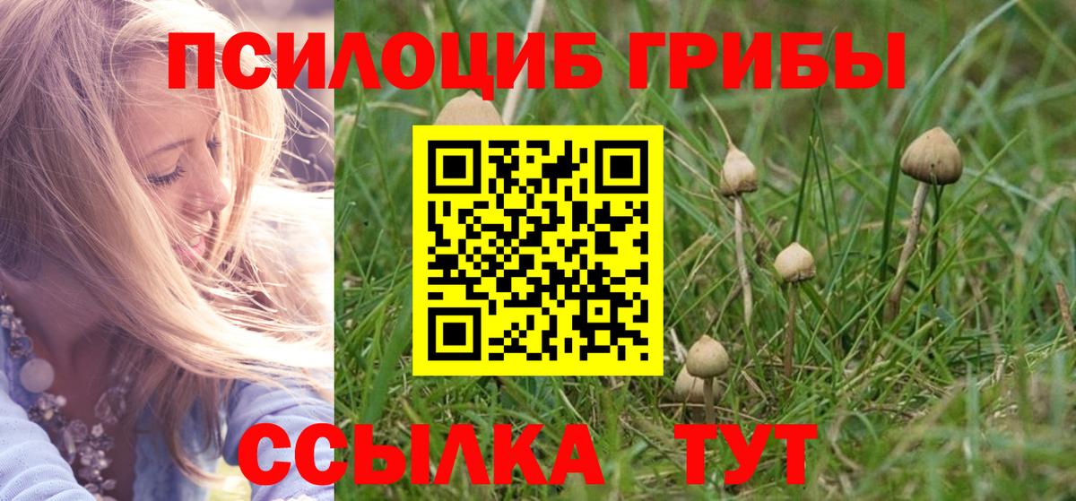 Галлюциногенные грибы Cubensis Каменск-Уральский