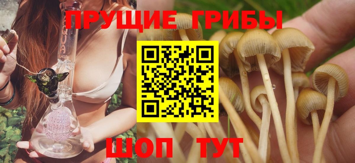 где найти наркотики  Вход с VPN  Каменск-Уральский  Псилоцибиновые грибы прущие грибы 